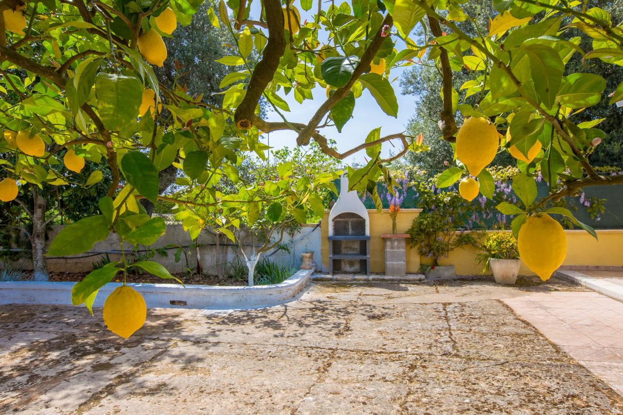 Casa Mediterranea Dei Normanni ซานวีโต เดย์ นอร์มานนี ภายนอก รูปภาพ